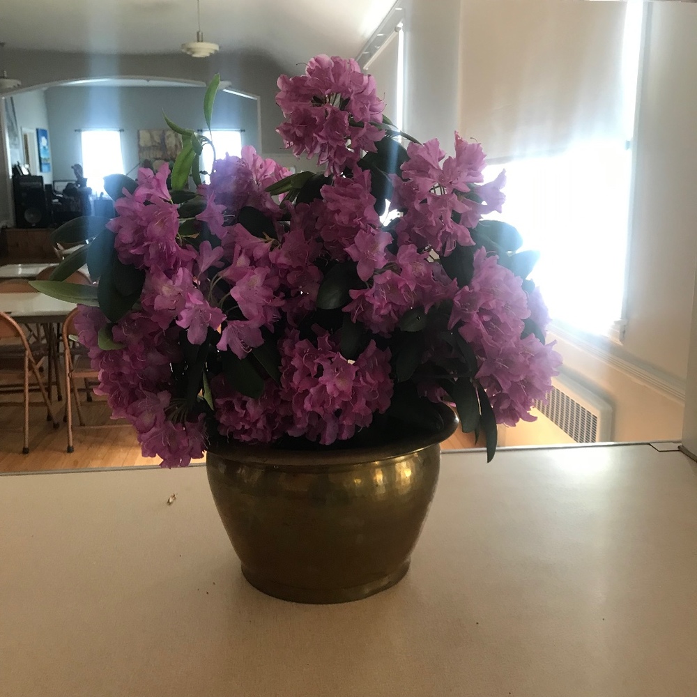 Meet your Posher, Deborah